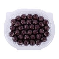 Каталог-00053