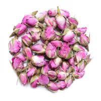 rosebud-500x500-500x500